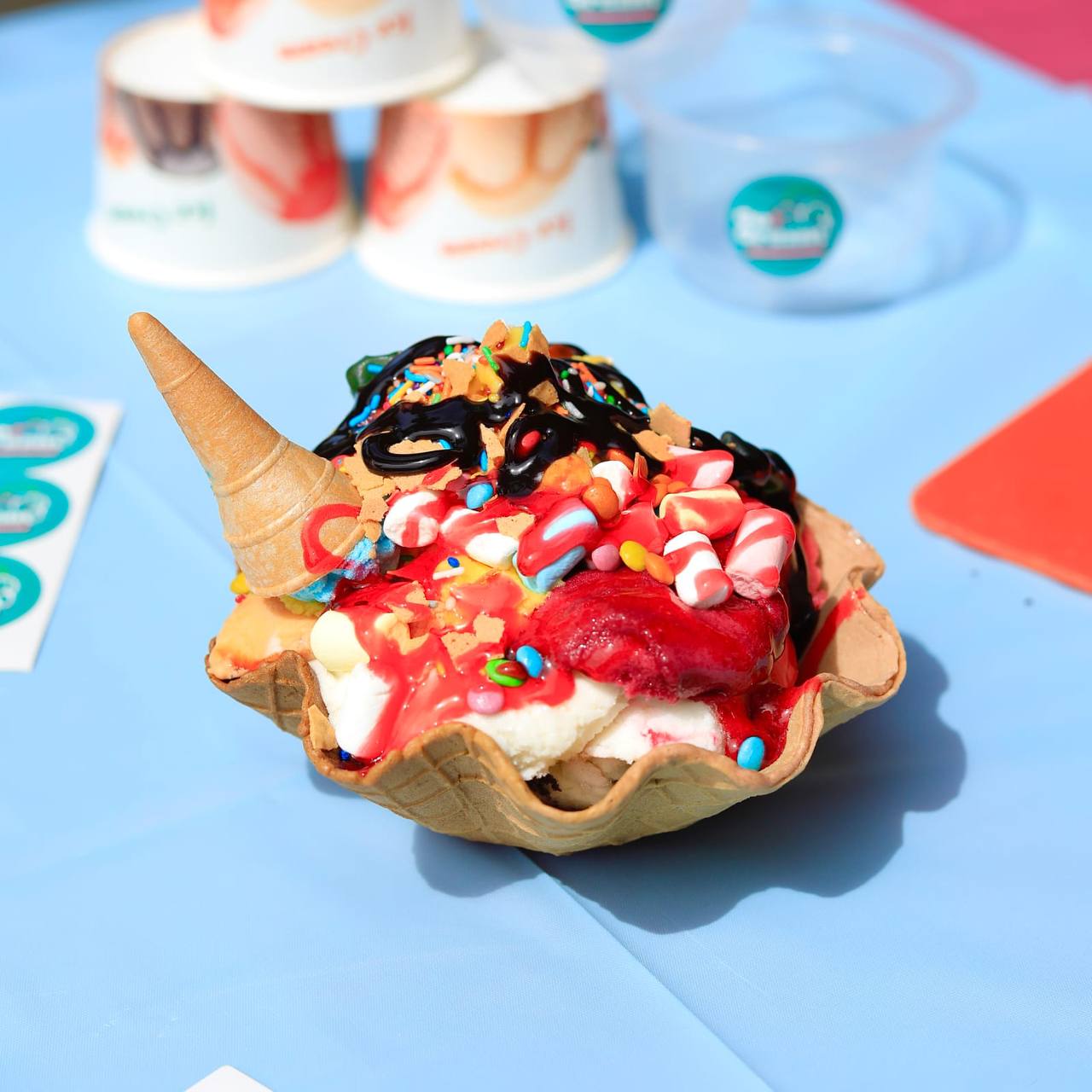 Soft Serve with Candy Toppings and Extra Sauce
